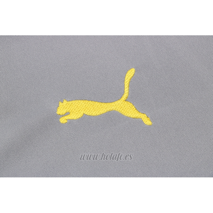 Chandal de Sudadera del Borussia Dortmund 2021-2022 Gris